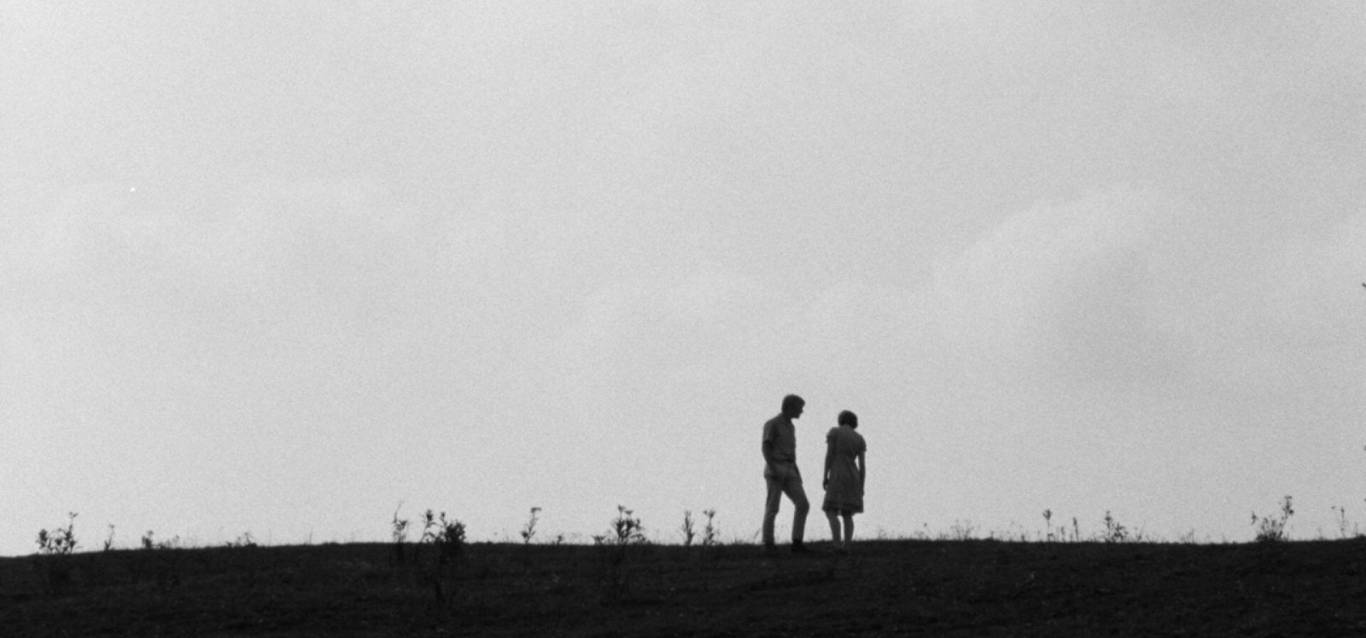 Spring Night, Summer Night