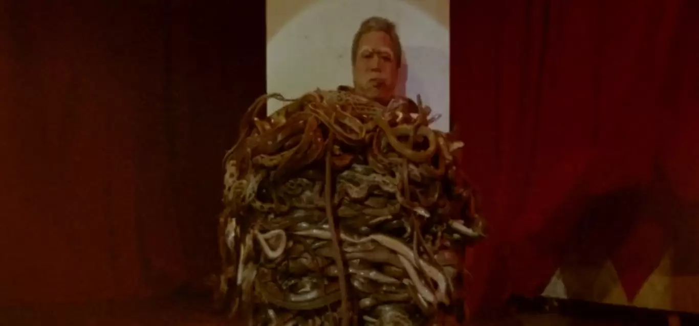 Calamity of Snakes