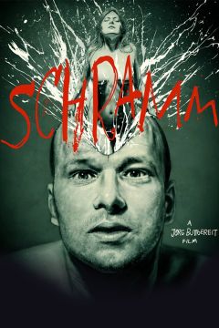 Schramm (1993)