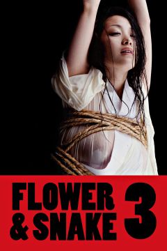 Flower & Snake : Hana to Hebi 3 (2010)
