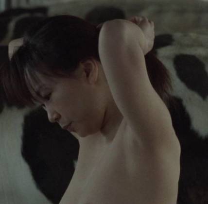 A Lonely Cow Weeps at Dawn